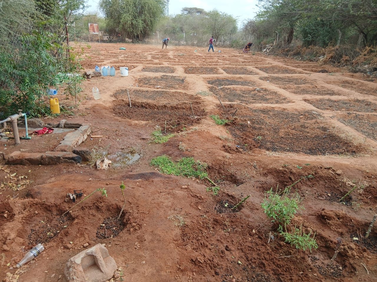 Prepared sunken beds near a water point, ready for planting in Dadaab