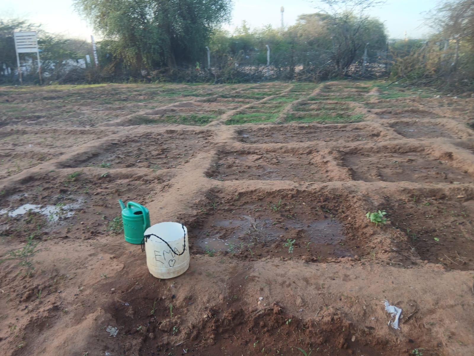 Sunken garden beds with a watering can and bucket, showing water-wise planting in Dadaab
