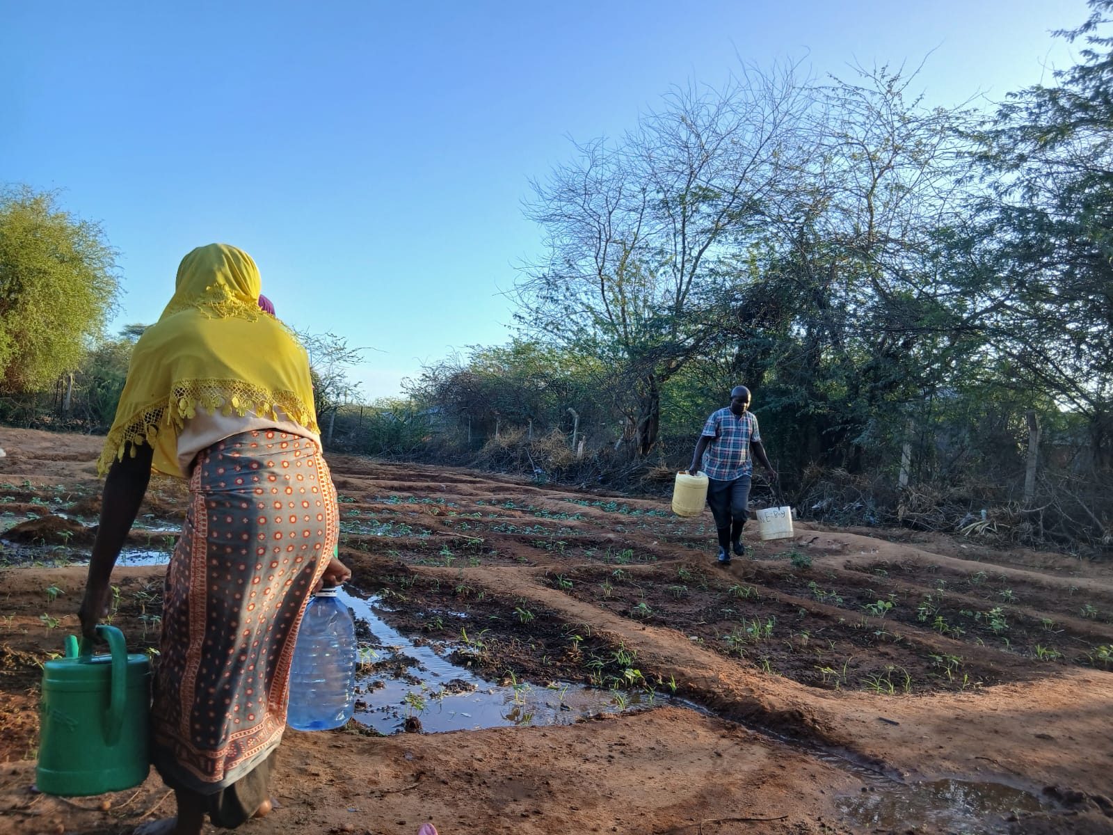 A woman in a yellow headscarf carrying a green watering can and water bottle while a man carries water containers across the farm in Dadaab